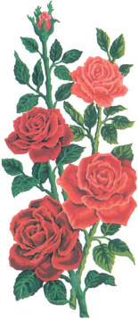 Красные розы Grafitec 8.014, цена €7 - интернет-магазин Мадам Брошкина